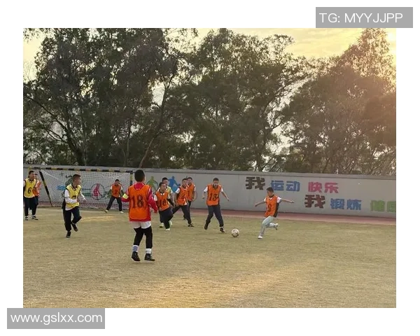 聚焦世界足球巨星成长轨迹与绿茵传奇故事全景解析盛典篇章绽放